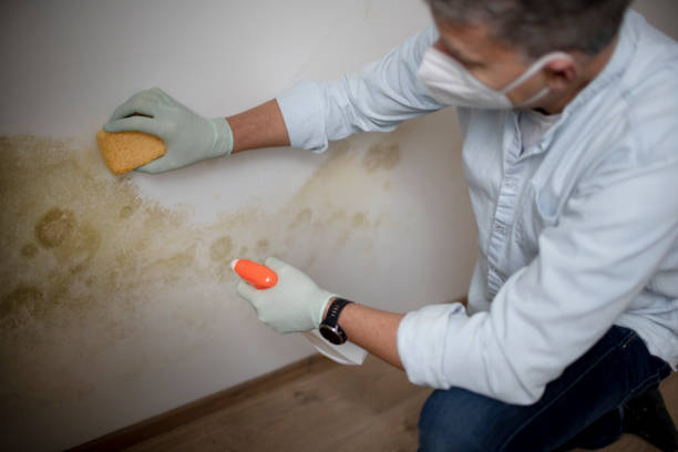 Best Bathroom Mold Remediation in Burnettown, SC