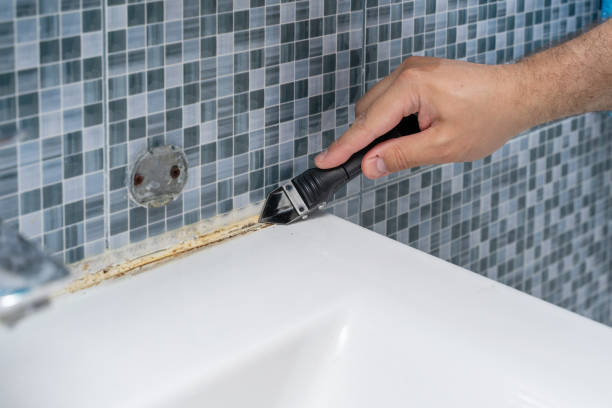 Best Health and Safety Mold Remediation in Burnettown, SC